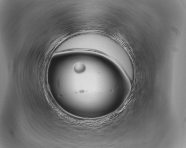 X0000113140001200909041218