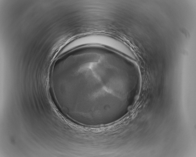 X0000113140002200909041218