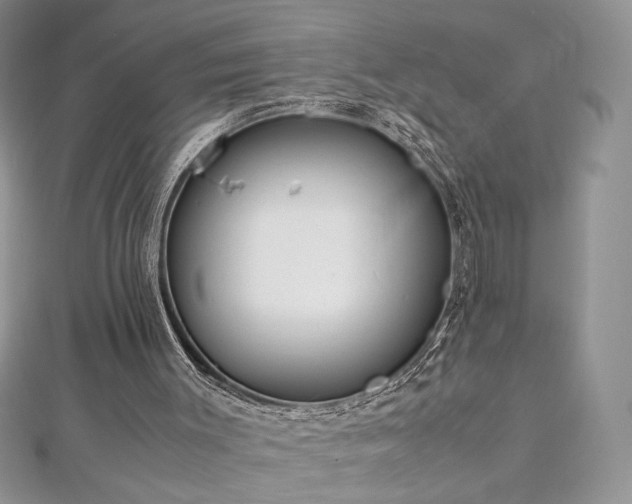 X0000113140003200909041218