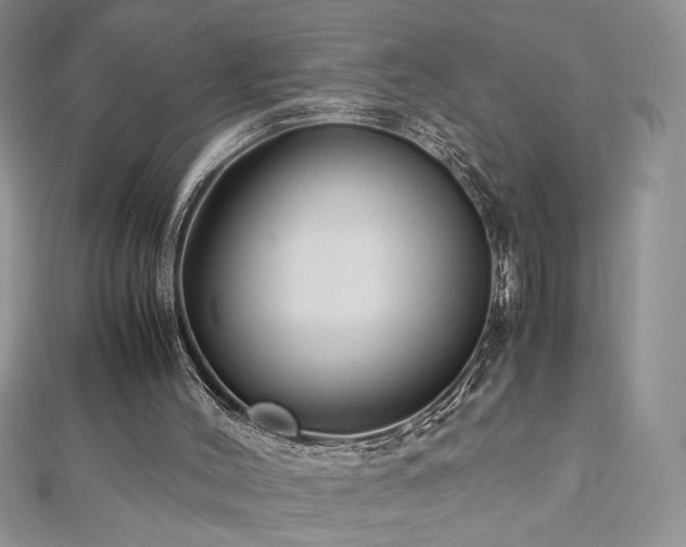 X0000113140004200909041218