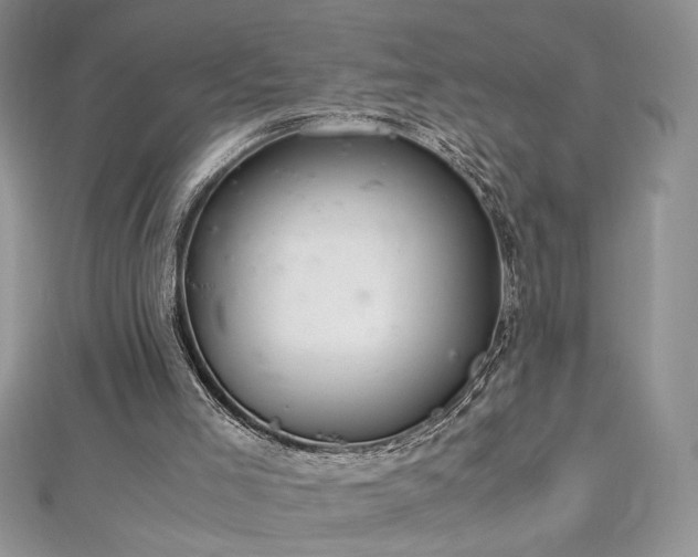 X0000113140005200909041218