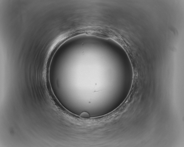 X0000113140006200909041218