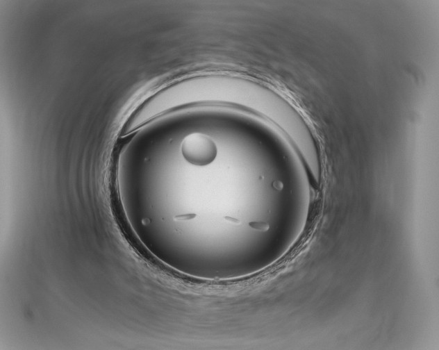 X0000113140007200909041218