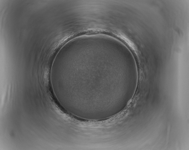 X0000113140009200909041218