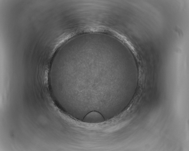 X0000113140010200909041218