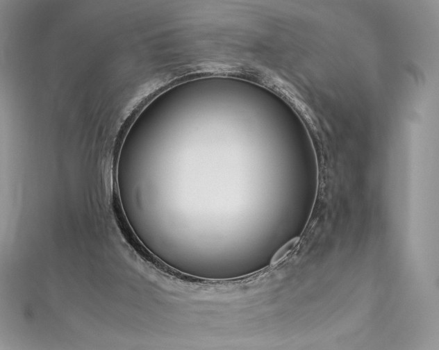 X0000113140011200909041218