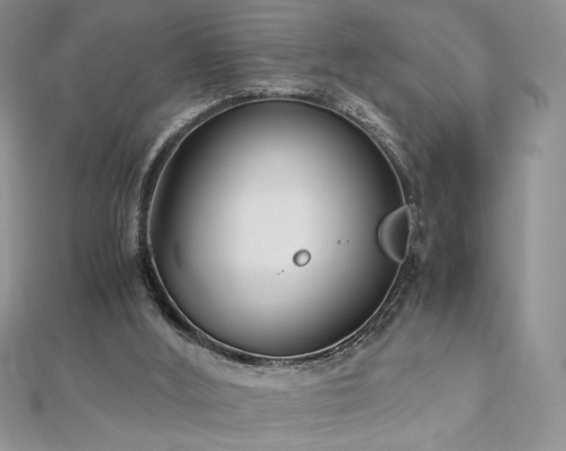 X0000113140012200909041218