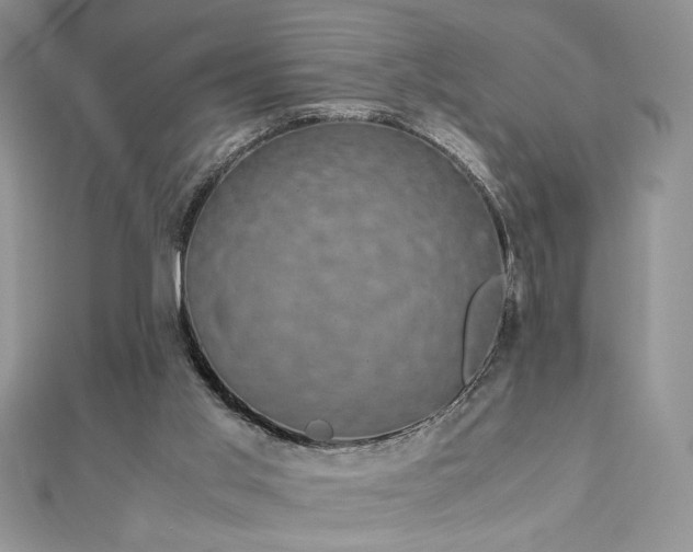 X0000113140013200909041218