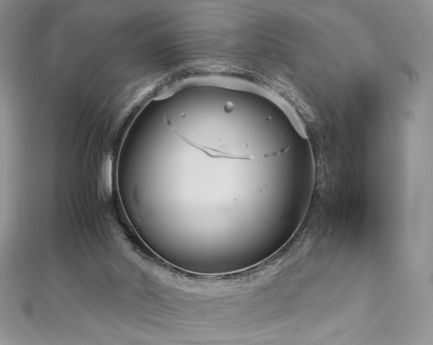 X0000113140014200909041218