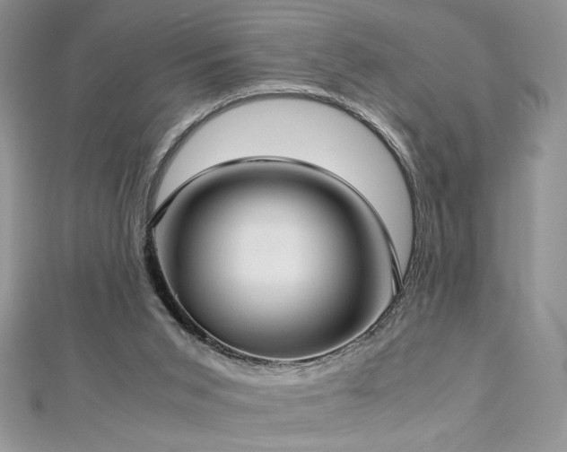 X0000113140015200909041218