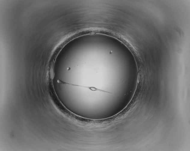 X0000113140016200909041218