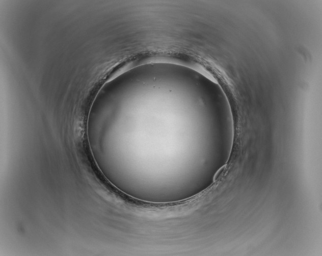 X0000113140017200909041218