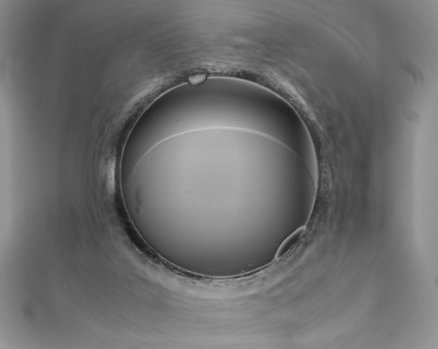 X0000113140019200909041218