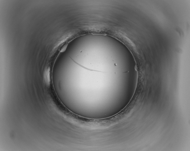 X0000113140020200909041218