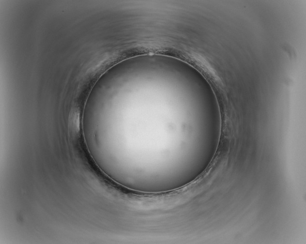 X0000113140021200909041218