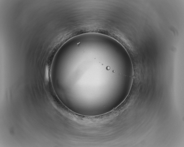 X0000113140022200909041218