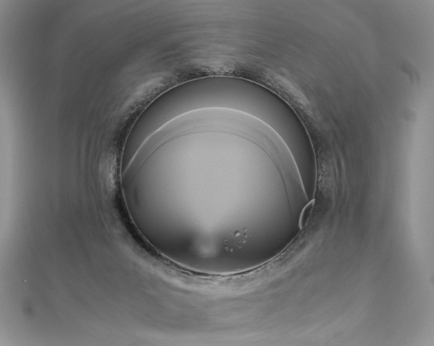 X0000113140023200909041217