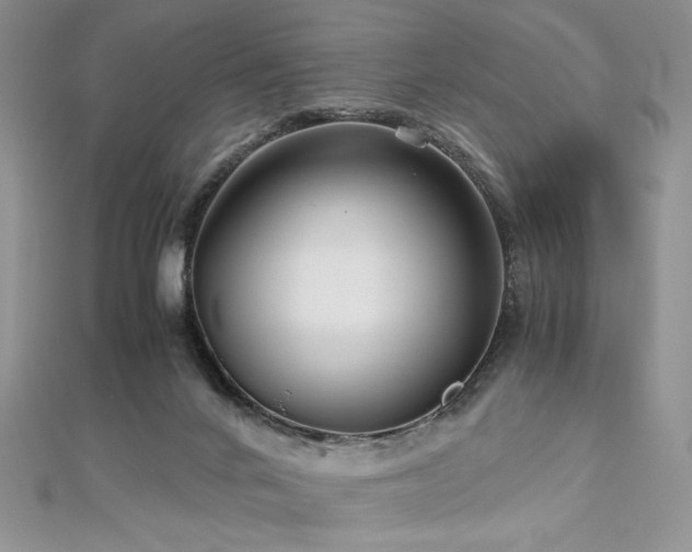 X0000113140024200909041217