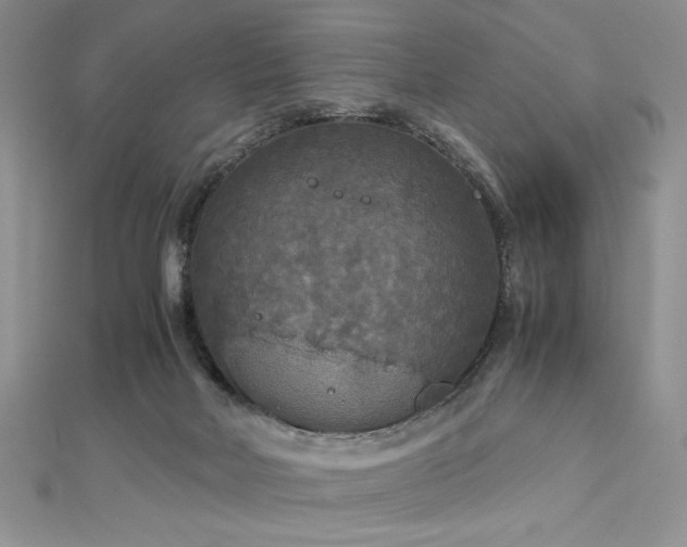 X0000113140026200909041217