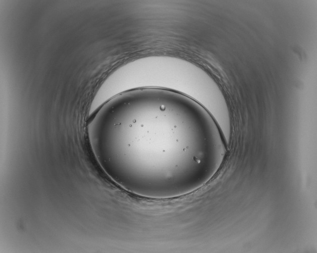 X0000113140029200909041217