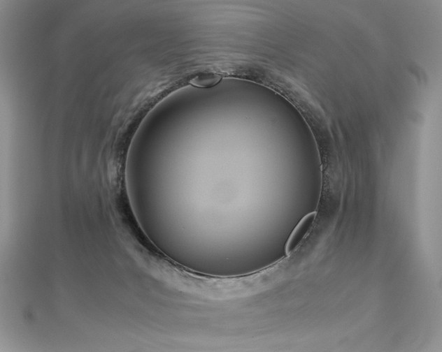 X0000113140031200909041217