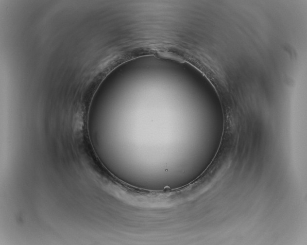 X0000113140032200909041217