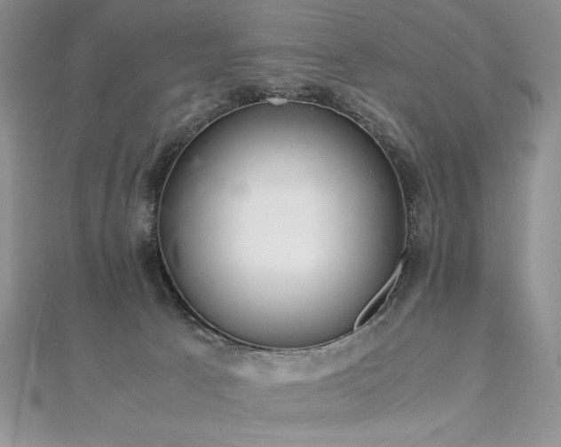 X0000113140033200909041217