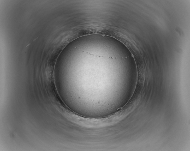 X0000113140034200909041217