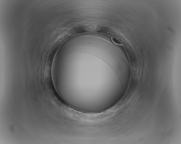 X0000113140035200909041217