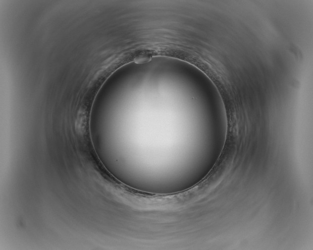 X0000113140036200909041217