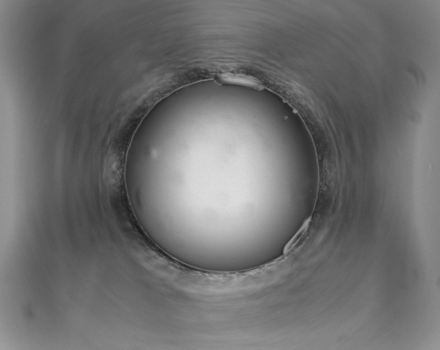 X0000113140037200909041217