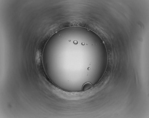 X0000113140038200909041217