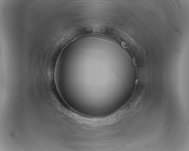 X0000113140039200909041217