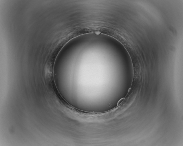 X0000113140040200909041217