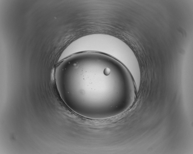 X0000113140041200909041217