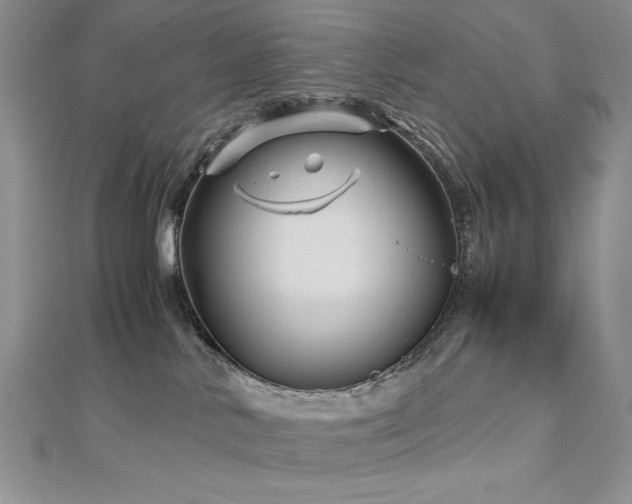 X0000113140042200909041217