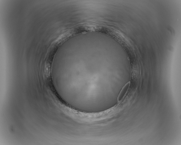 X0000113140043200909041217