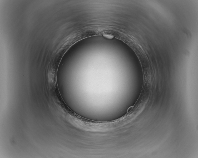 X0000113140044200909041217