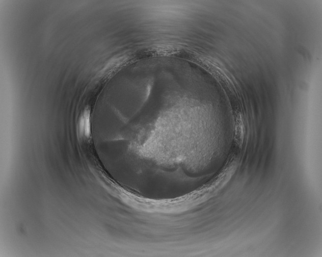 X0000113140046200909041217