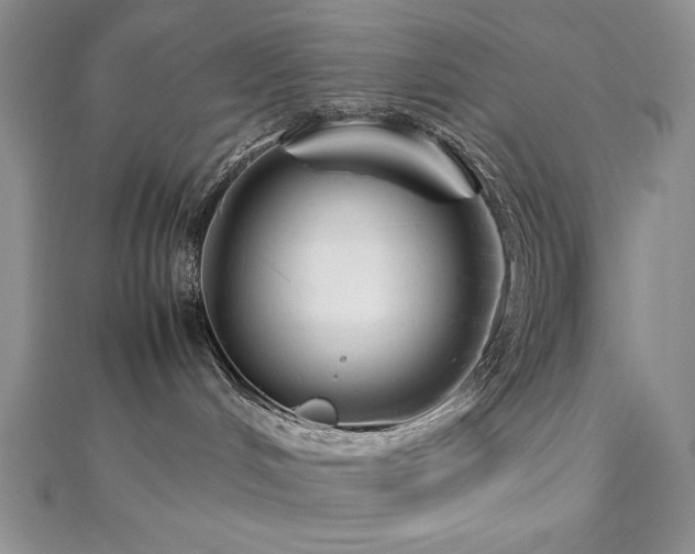 X0000113140048200909041217