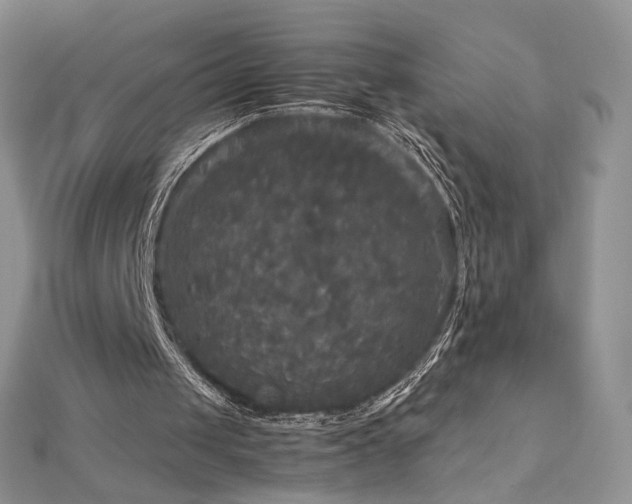 X0000113140049200909041217