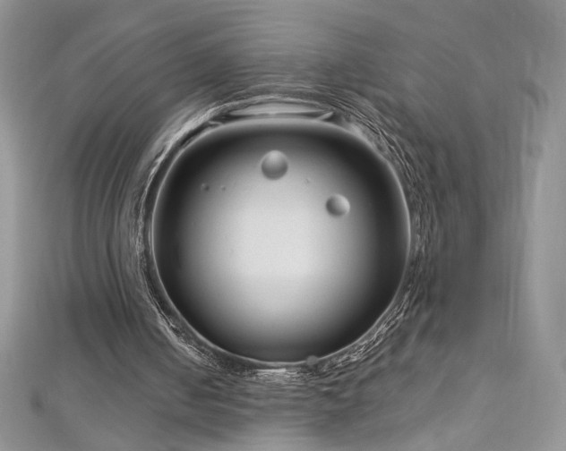 X0000113140050200909041217