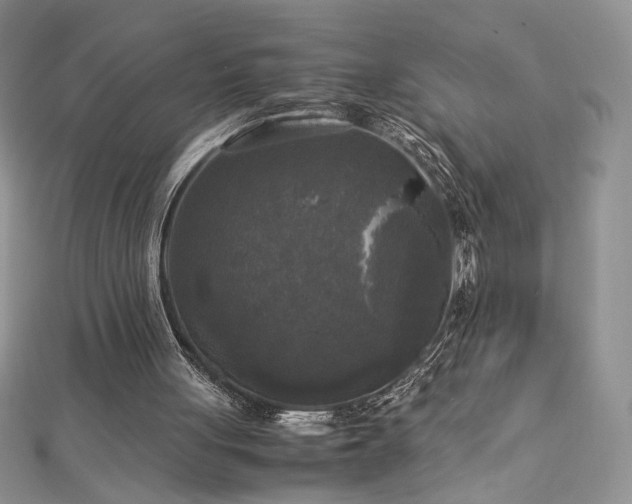 X0000113140051200909041217