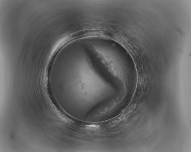 X0000113140053200909041217