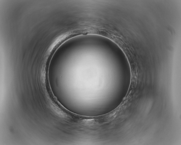 X0000113140054200909041217