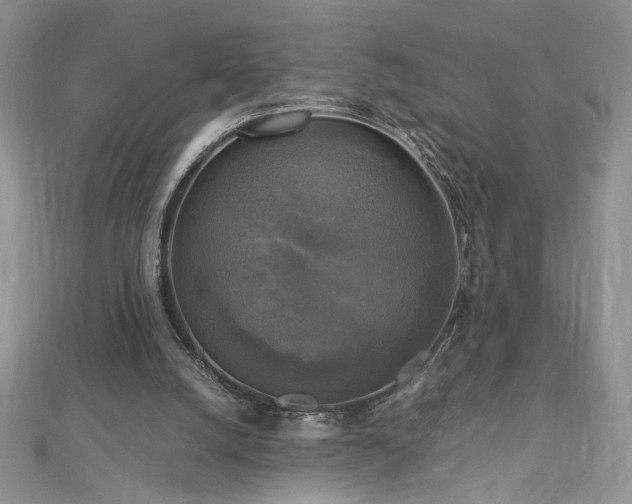 X0000113140056200909041217