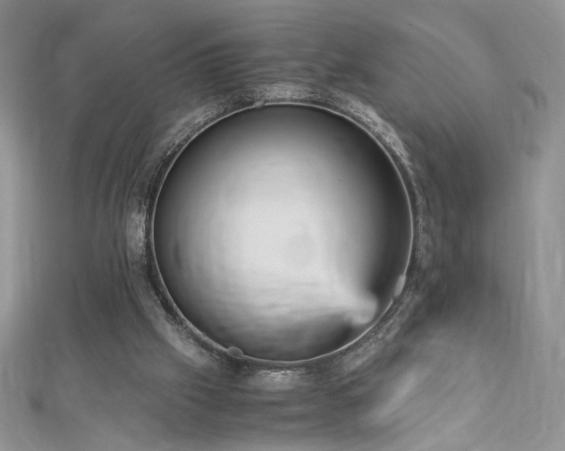 X0000113140057200909041217