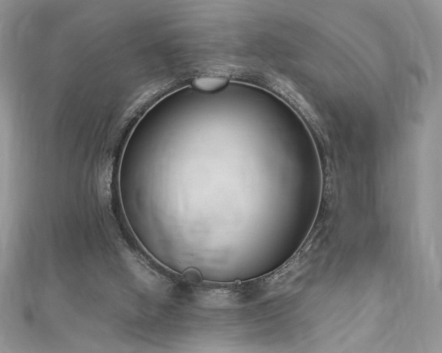 X0000113140058200909041217