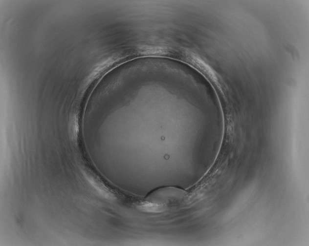 X0000113140059200909041217