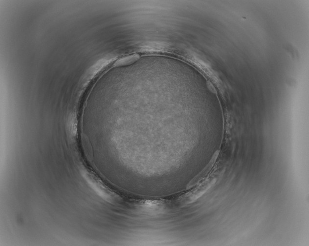 X0000113140060200909041217